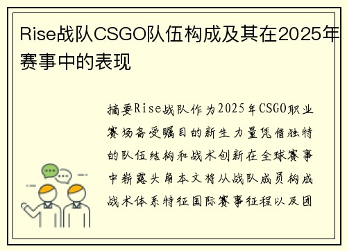 Rise战队CSGO队伍构成及其在2025年赛事中的表现